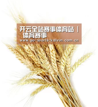 开云全站赛事体育站 | 体育赛事