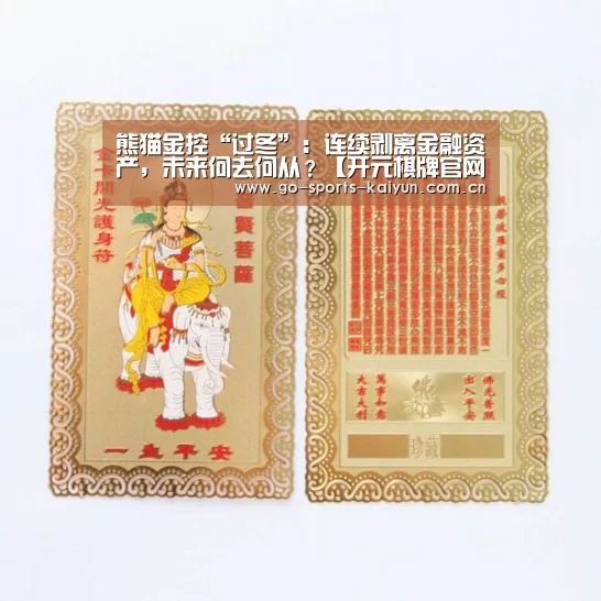 熊猫金控“过冬”:连续剥离金融资产,未来何去何从?【开元棋牌官网】(图3) 开元棋牌官网